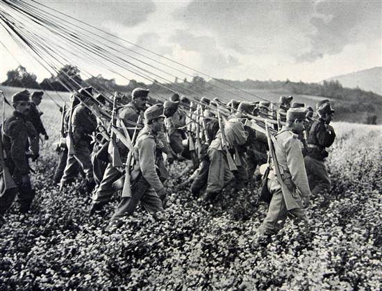 WWI interest: Osterreich Ungarn in Waffen,